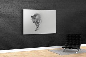 Картина KIL Art для интерьера в гостиную спальню Чёрно-белый ягуар 80x54 см (528