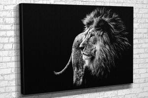 Картина KIL Art для интерьера в гостиную спальню Чёрно-белый лев 80x54 см (727)