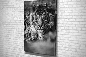 Картина KIL Art для интерьера в гостиную спальню Чёрно-белый тигр 80x54 см (734)