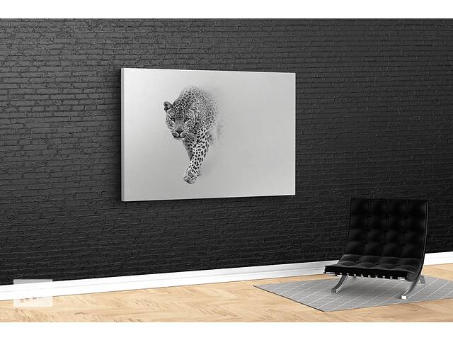 Картина KIL Art для интерьера в гостиную спальню Чёрно-белый ягуар 51x34 см (528