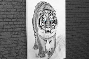 Картина KIL Art для интерьера в гостиную спальню Голубоглазый тигр 51x34 см (724)