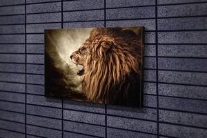Картина KIL Art для интерьера в гостиную спальню Король зверей лев 80x54 см (448