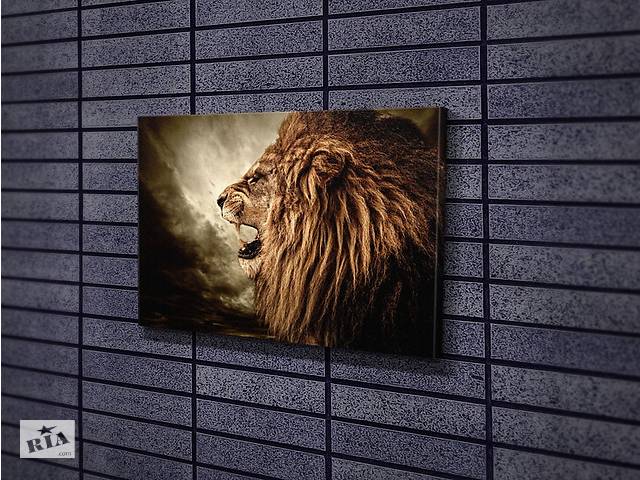 Картина KIL Art для интерьера в гостиную спальню Король зверей лев 51x34 см (448