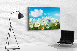 Картина KIL Art для интерьера в гостиную спальню Красивые ромашки 80x54 см (675)