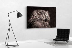 Картина KIL Art для интерьера в гостиную спальню Леопард 80x54 см (634)