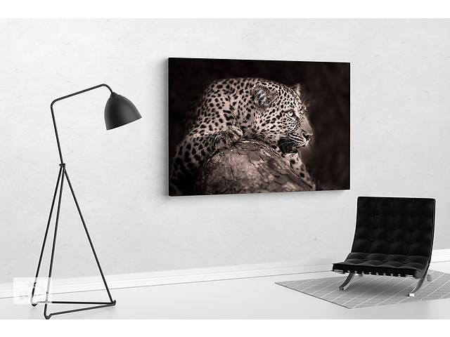 Картина KIL Art для интерьера в гостиную спальню Леопард 51x34 см (634)