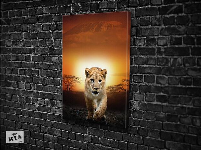 Картина KIL Art для интерьера в гостиную спальню Маленький львёнок 80x54 см (586)