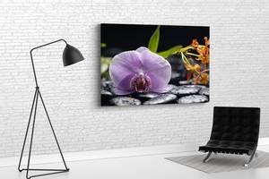 Картина KIL Art для интерьера в гостиную спальню Нежная орхидея 80x54 см (687)