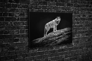 Картина KIL Art для интерьера в гостиную спальню Одинокий волк 80x54 см (494)