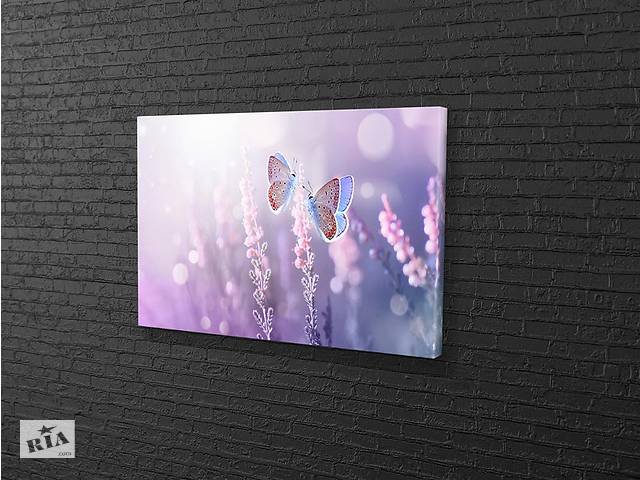 Картина KIL Art для интерьера в гостиную спальню Пара бабочек 80x54 см (523)
