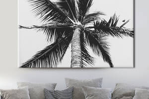 Картина KIL Art для интерьера в гостиную спальню Растение - Черно-белая пальма 160x80 см (K0002_XL)