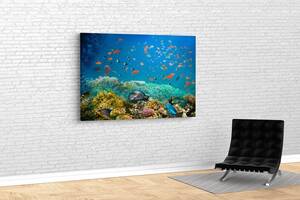 Картина KIL Art для интерьера в гостиную спальню Рыбы на коралловом рифе 80x54 см (496)