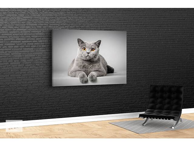 Картина KIL Art для интерьера в гостиную спальню Серый кот 80x54 см (531)