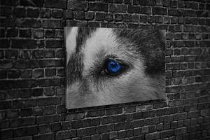 Картина KIL Art для интерьера в гостиную спальню Щенок с синими глазами 80x54 см (514)