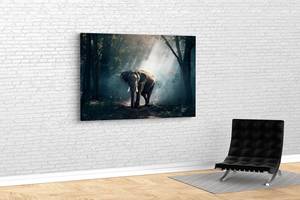 Картина KIL Art для интерьера в гостиную спальню Слон в лесу 80x54 см (492)