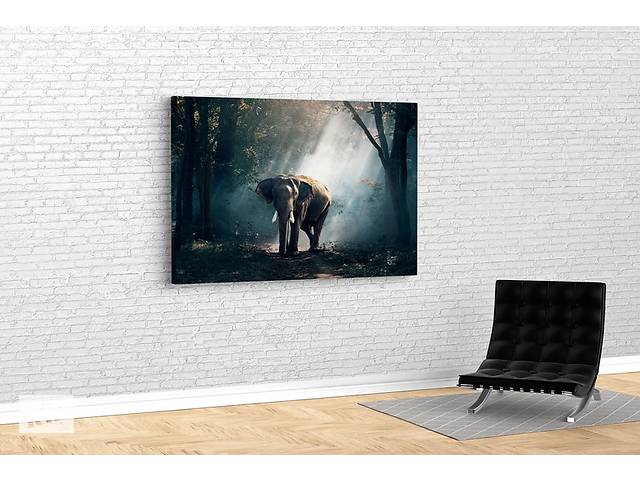 Картина KIL Art для интерьера в гостиную спальню Слон в лесу 80x54 см (492)
