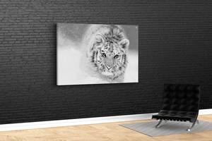 Картина KIL Art для интерьера в гостиную спальню Снежный тигр 80x54 см (543)