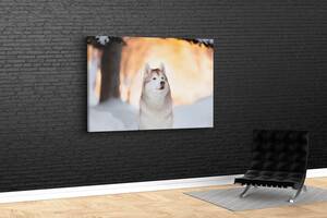 Картина KIL Art для интерьера в гостиную спальню Собака и снег 80x54 см (416)