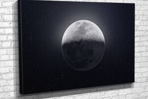 Картина KIL Art для интерьера в гостиную спальню Тень на луне 80x54 см (872)