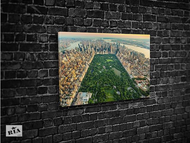 Картина KIL Art для интерьера в гостиную спальню Центральный парк Нью-Йорка 51x34 см (527