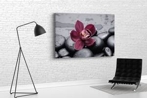 Картина KIL Art для интерьера в гостиную спальню Цветок орхидеи на камнях 80x54 см (671)