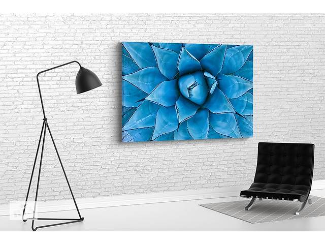 Картина KIL Art для интерьера в гостиную спальню Цветок сукулент з голубыми лепестками 51x34 см (660)
