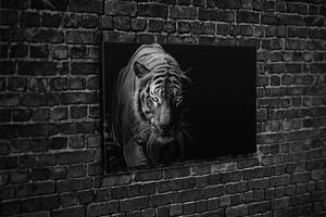 Картина KIL Art для интерьера в гостиную спальню Тигр 80x54 см (532)