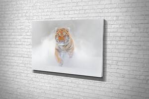 Картина KIL Art для интерьера в гостиную спальню Тигр в снегу 80x54 см (519)