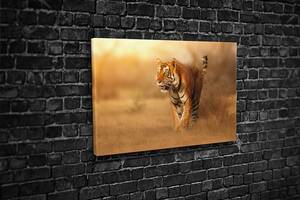 Картина KIL Art для интерьера в гостиную спальню Тигр в саванне 80x54 см (549)