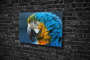 Картина KIL Art для интерьера в гостиную спальню Яркий попугай 80x54 см (627