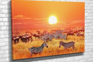 Картина KIL Art для интерьера в гостиную спальню Зебры и антилопы в саванне 80x54 см (732)