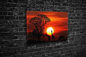 Картина KIL Art для интерьера в гостиную спальню Жирафы и носорог 80x54 см (503)
