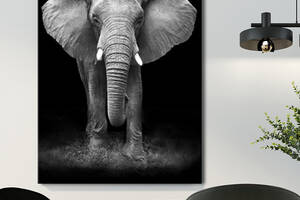 Картина KIL Art для интерьера в гостиную спальню Животные - Слон 80x60 см (P0493)