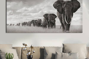 Картина KIL Art для интерьера в гостиную спальню Животные - Стая слонов 50x25 см (K0029_M)