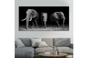 Картина KIL Art для интерьера в гостиную спальню Животные - Три черно-белые слоны 50x25 см (K0042_M)