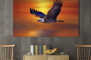 Картина KIL Art Полет белоголового орлана 51x34 см (1758-1)