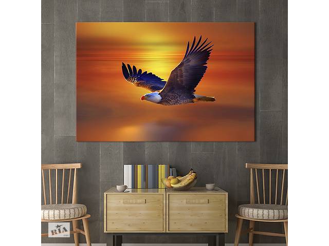 Картина KIL Art Полет белоголового орлана 51x34 см (1758-1)