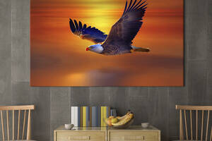 Картина KIL Art Полет белоголового орлана 75x50 см (1758-1)