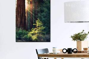 Картина KIL Art Солнце в лесу 122x81 см (48)