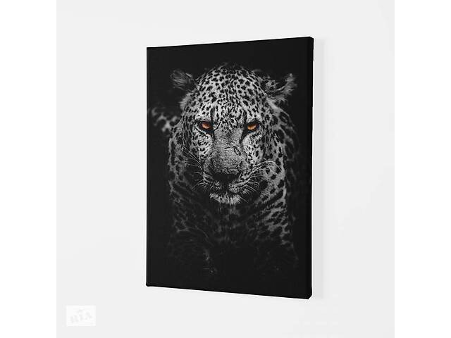 Картина Леопард Malevich Store 45x60 см (P0400)