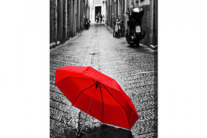 Картина Malevich Store Красный зонт 45x60 см (P0501)