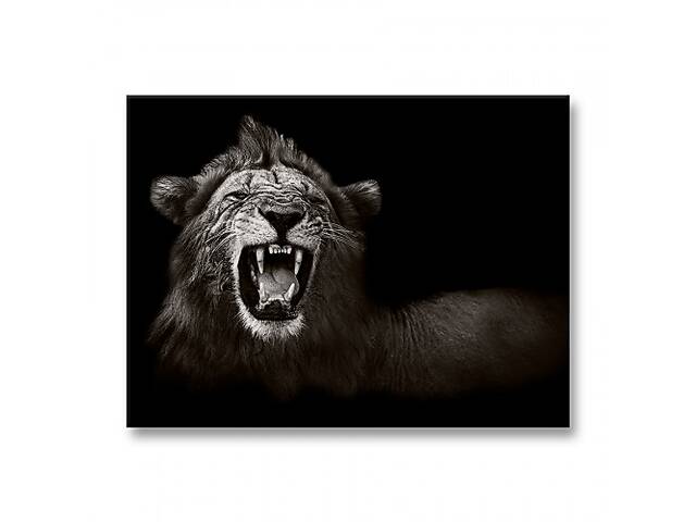 Картина Malevich Store Кричащий тигр 30x40 см (P0506)