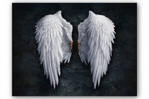 Картина Malevich Store Крылья Ангела 30x40 см (P0473)