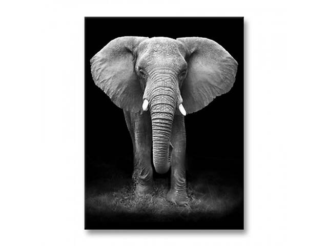 Картина Malevich Store Слон на удачу 30x40 см (P0493)