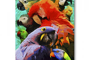 Картина Malevich Store Яркие Попугаи 30x40 см (P0499)