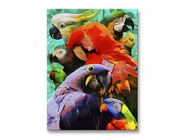 Картина Malevich Store Яркие Попугаи 45x60 см (P0499)