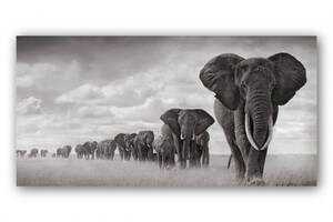 Могучі слони Malevich Store 50x100 см (K0029)
