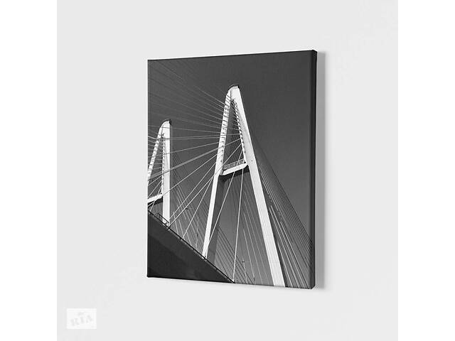 Картина Міст Malevich Store 45x60 см (P0403)