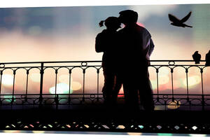 Картина на холсте Декор Карпаты Любовь и голуби 50х100 см (l504)