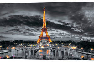 Картина на холсте Декор Карпаты Париж 50х100 см (K808)
